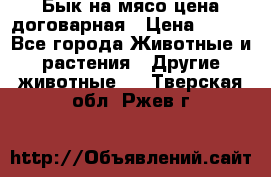 Бык на мясо цена договарная › Цена ­ 300 - Все города Животные и растения » Другие животные   . Тверская обл.,Ржев г.